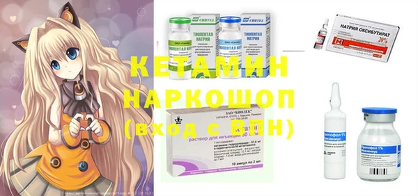 крисы Сатка