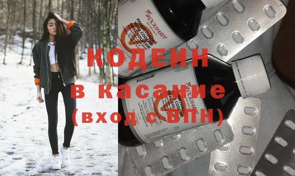 крисы Сатка
