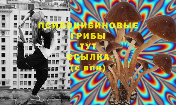 винт Алексин