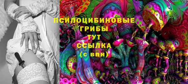 apvp Саяногорск