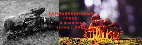 круглые Армянск