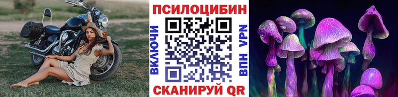 Галлюциногенные грибы мухоморы  Алзамай 
